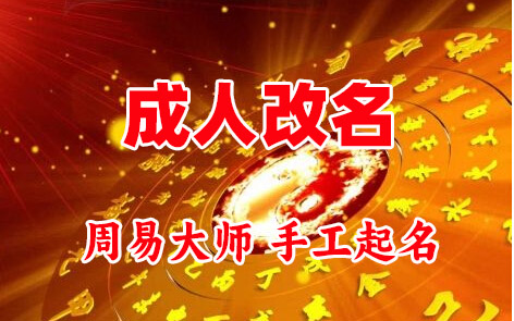 阳东成人改名-找大师一对一改名先分析后改名